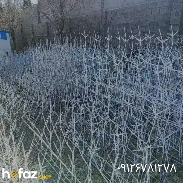 قیمت نرده بوته خاری